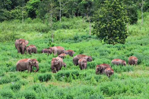 Kuiburi Nationalpark Adobestock 761455179