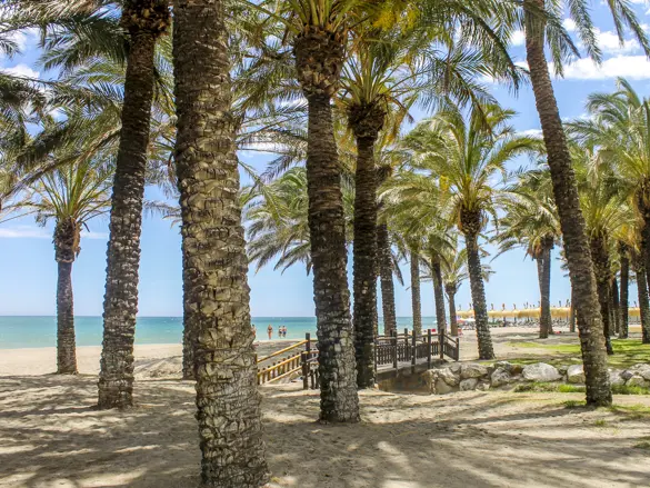 AGP Torremolinos Beach 3