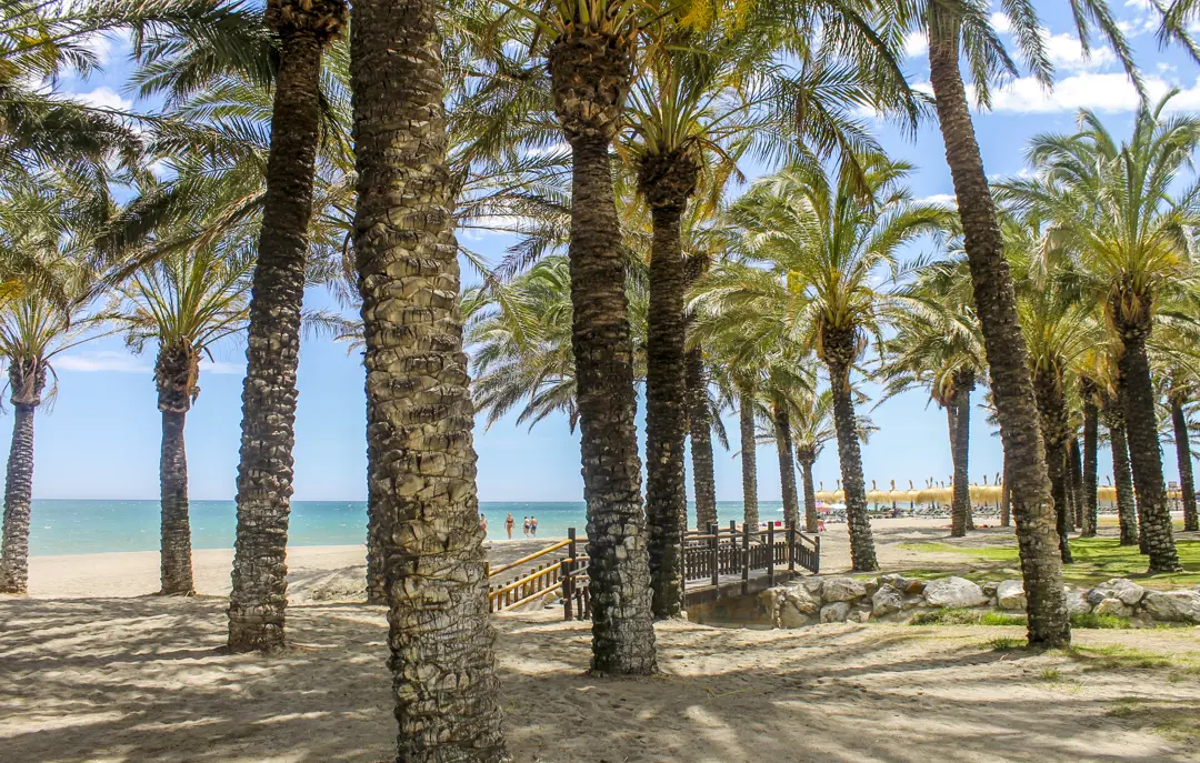 AGP Torremolinos Beach 3