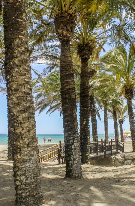 AGP Torremolinos Beach 3
