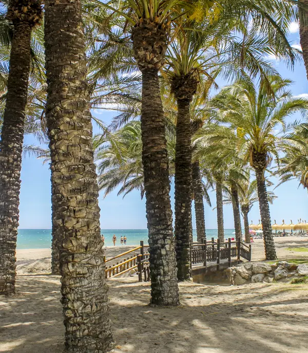 AGP Torremolinos Beach 3