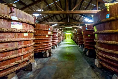 Viet factory fish sauce AdobeStock_339930157.jpeg
