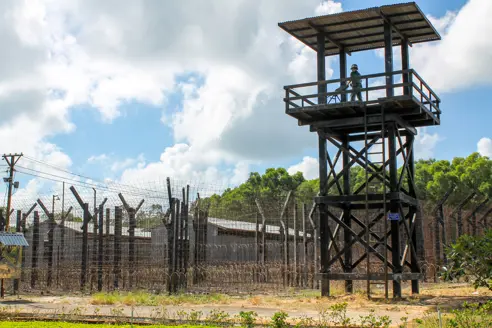 Viet Coconut Tree Prison AdobeStock_253107467.jpeg