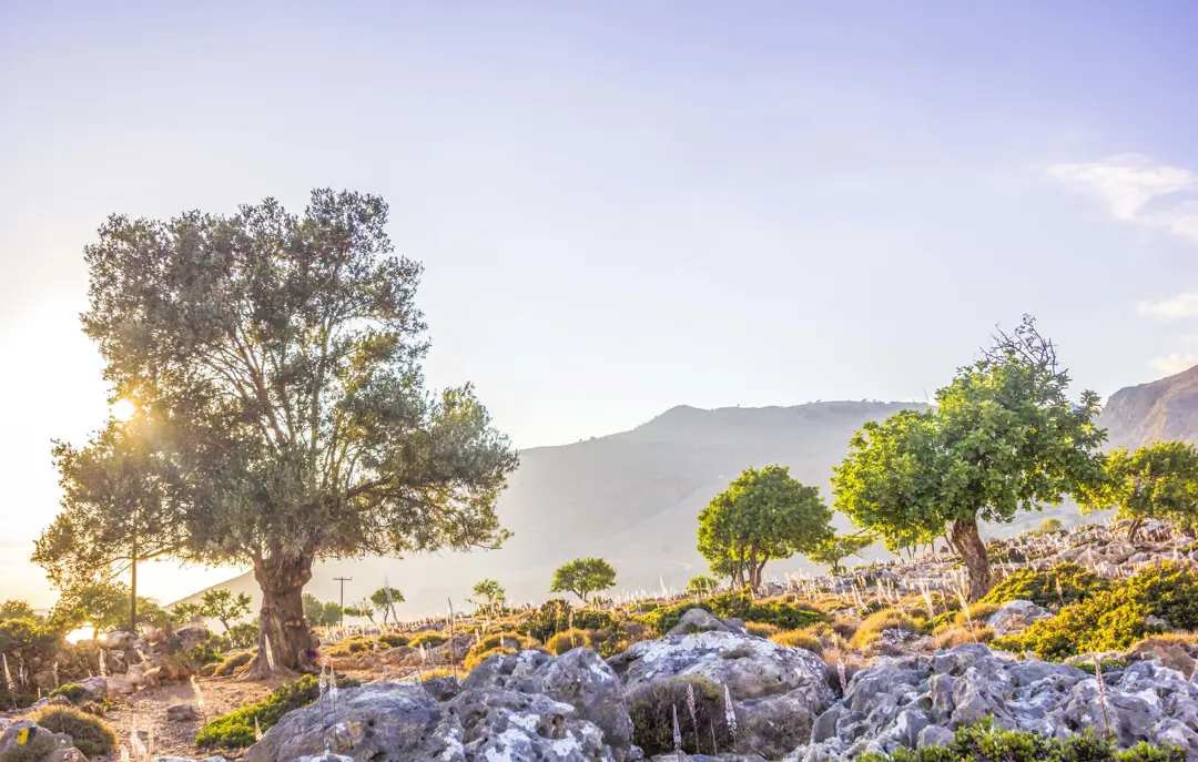 Greece Crete Destination Crete Hiking Loutro Chania Gettyimages 1010897318 1