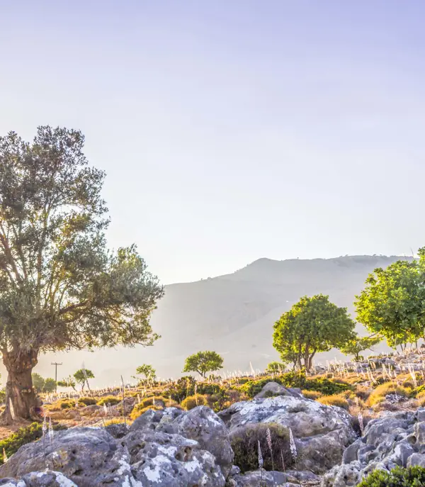 Greece Crete Destination Crete Hiking Loutro Chania Gettyimages 1010897318 1