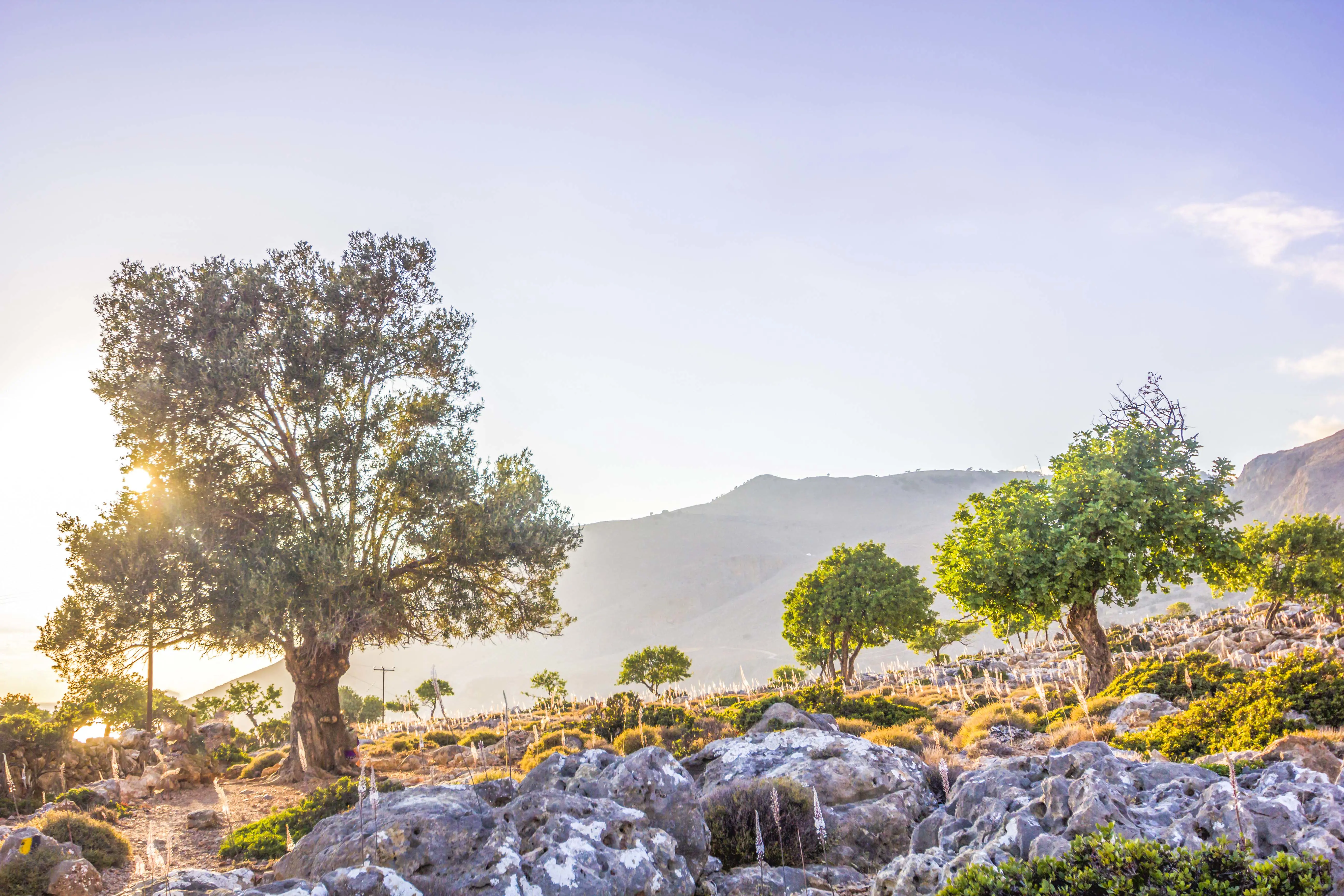 Greece Crete Destination Crete Hiking Loutro Chania Gettyimages 1010897318 1