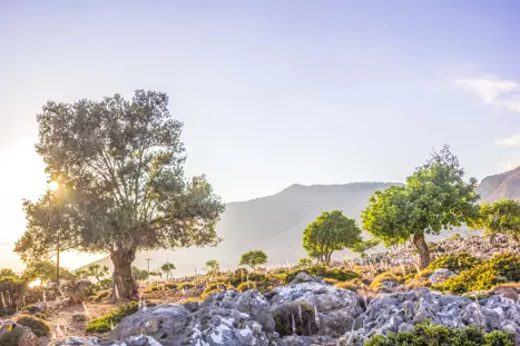 Greece Crete Destination Crete Hiking Loutro Chania Gettyimages 1010897318 1