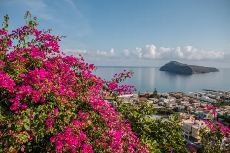 CHQ Platanias Theodoroisland Adobestock 267233570