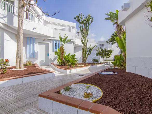 TFS Checkin Bungalow Atlantida 20