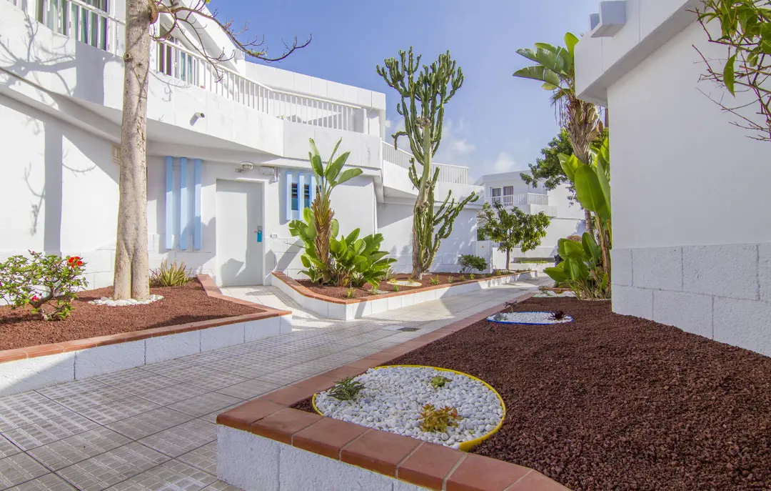 TFS Checkin Bungalow Atlantida 20