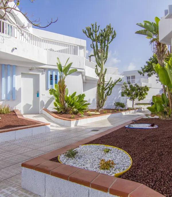 TFS Checkin Bungalow Atlantida 20