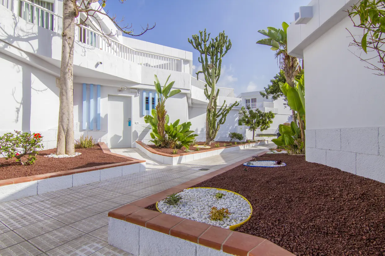 TFS Checkin Bungalow Atlantida 20