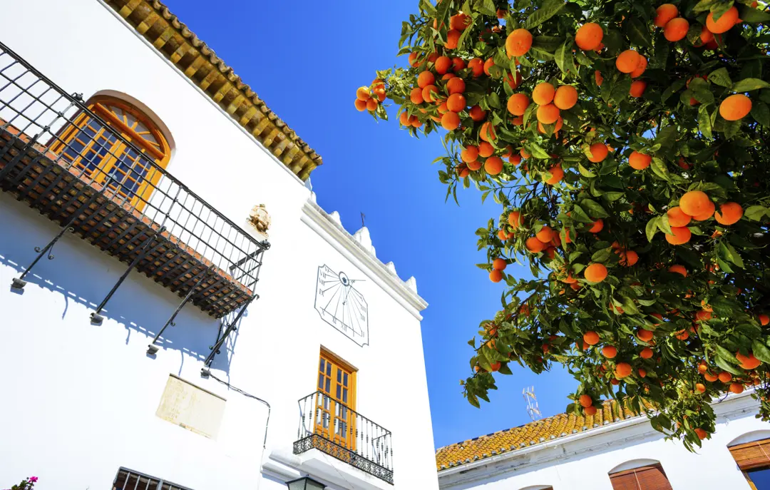 AGP Marbella Gettyimages 955941726