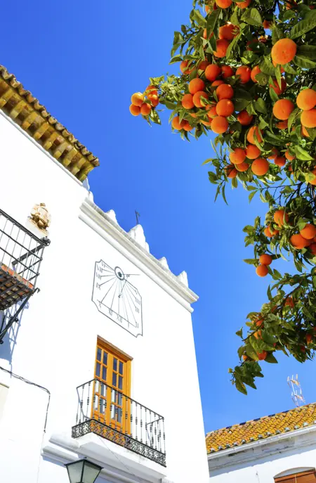 AGP Marbella Gettyimages 955941726