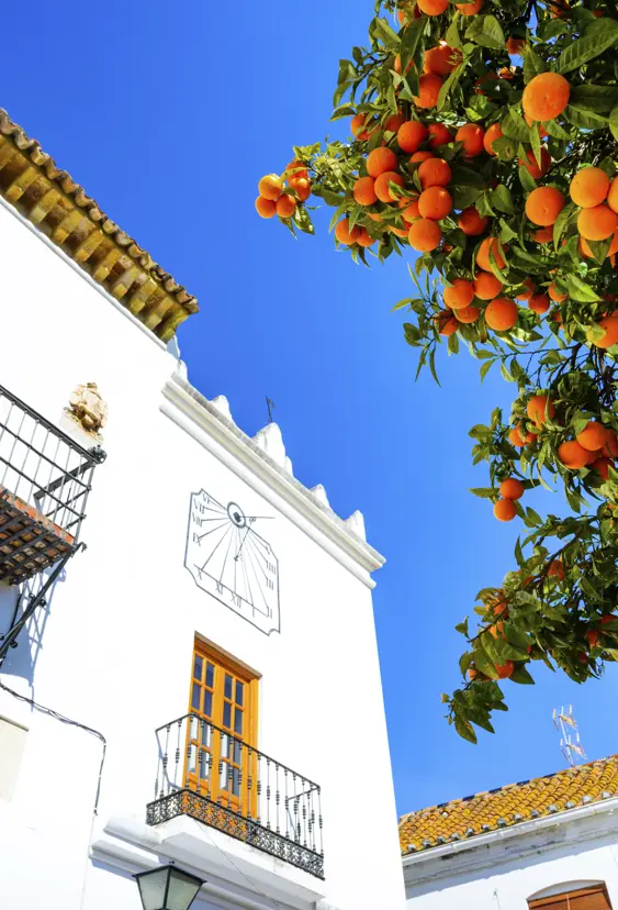 AGP Marbella Gettyimages 955941726
