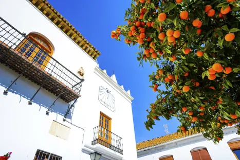 AGP Marbella Gettyimages 955941726