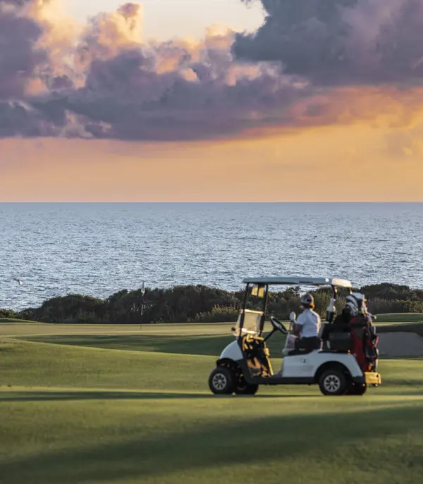 Costanavarino Thedunes 19