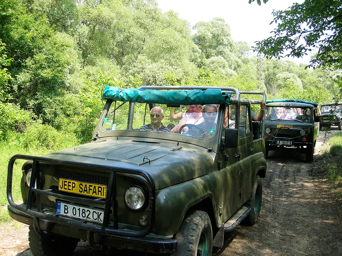 Var Jeep Safari 2 Web