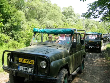 Var Jeep Safari 2 Web