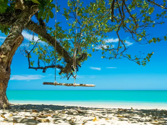 Thai Khaolak 464905994