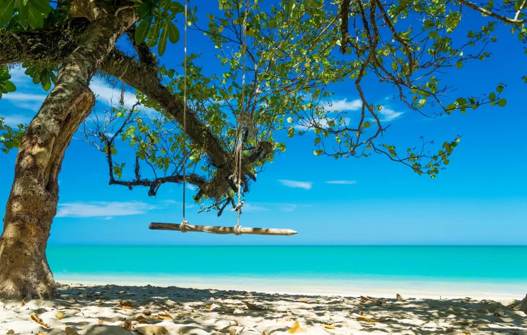 Thai Khaolak 464905994
