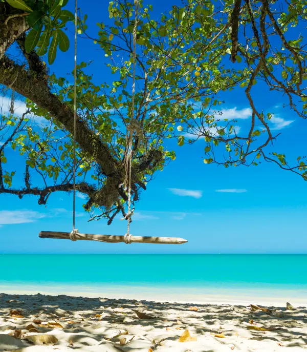 Thai Khaolak 464905994