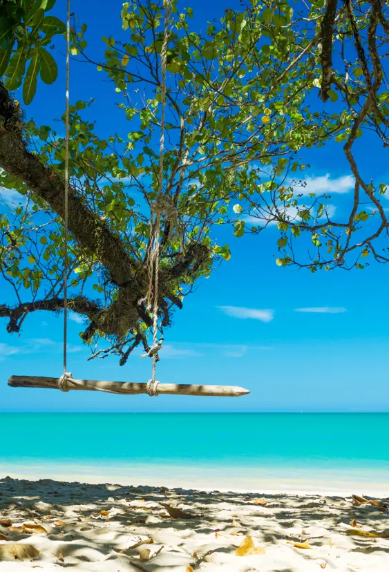 Thai Khaolak 464905994