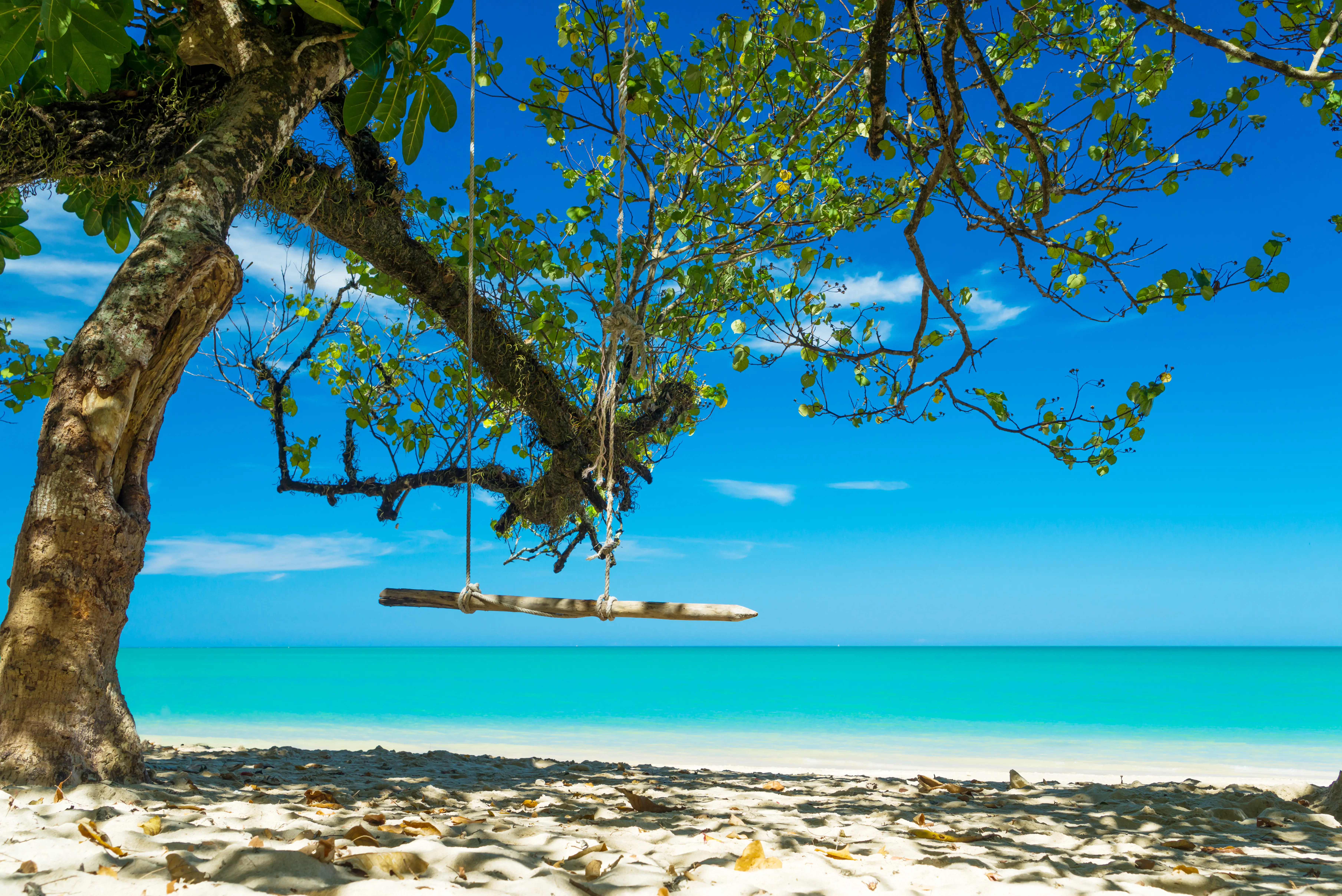 Thai Khaolak 464905994