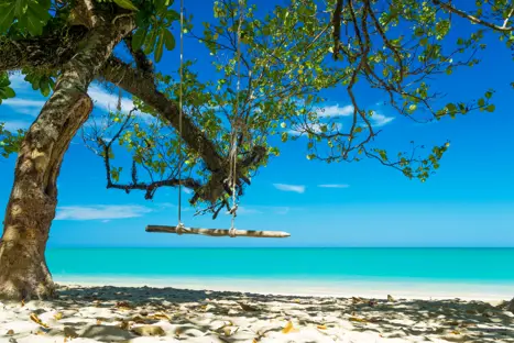 Thai Khaolak 464905994
