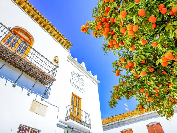 AGP Marbella Historic Artistic Center Gettyimages 955941726 1