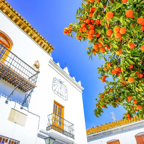 AGP Marbella Historic Artistic Center Gettyimages 955941726 1