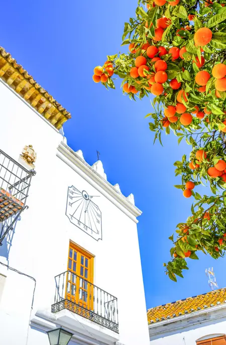 AGP Marbella Historic Artistic Center Gettyimages 955941726 1