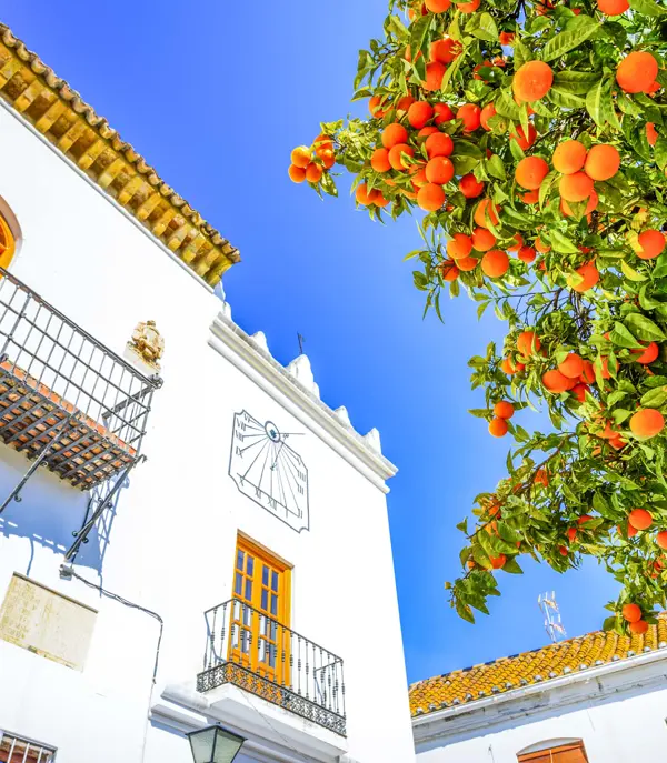 AGP Marbella Historic Artistic Center Gettyimages 955941726 1