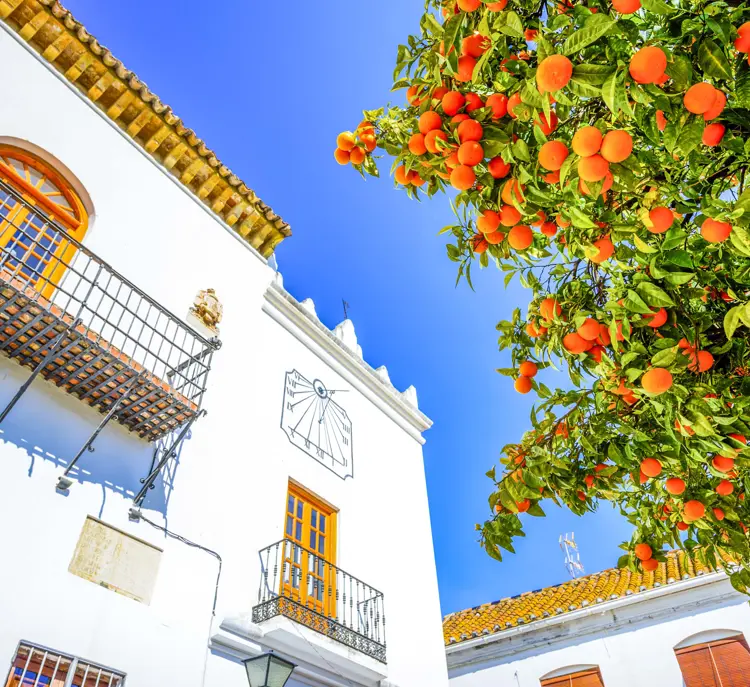 AGP Marbella Historic Artistic Center Gettyimages 955941726 1
