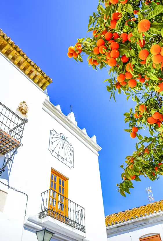 AGP Marbella Historic Artistic Center Gettyimages 955941726 1