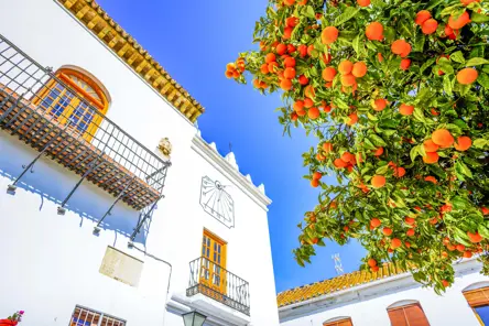 AGP Marbella Historic Artistic Center Gettyimages 955941726 1
