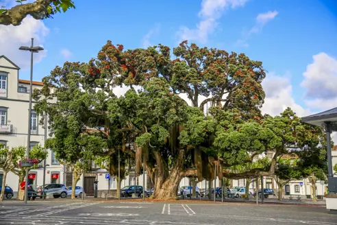 PDL Ponta Delgada 1