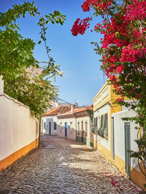 FAO Ferragudo AdobeStock_729259964.jpeg