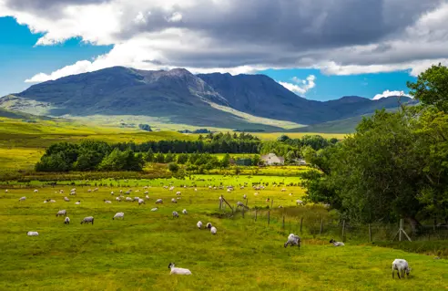ConnemaraNationalPark_AdobeStock_102958737.jpeg