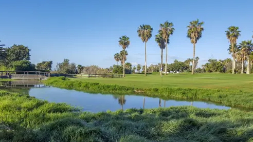 Golfdelsur 8