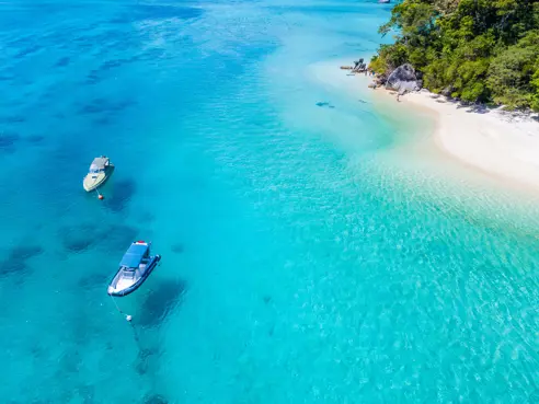 Surinisland Adobestock 508546623