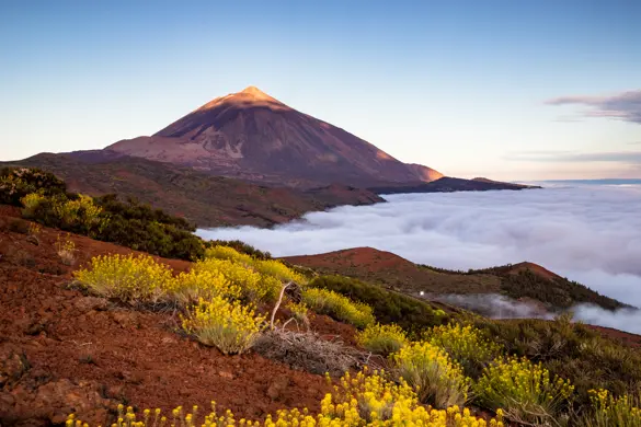 TFS Teide Adobestock 441703319