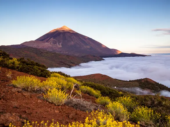TFS Teide Adobestock 441703319