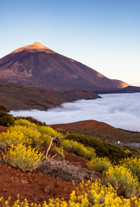 TFS Teide Adobestock 441703319