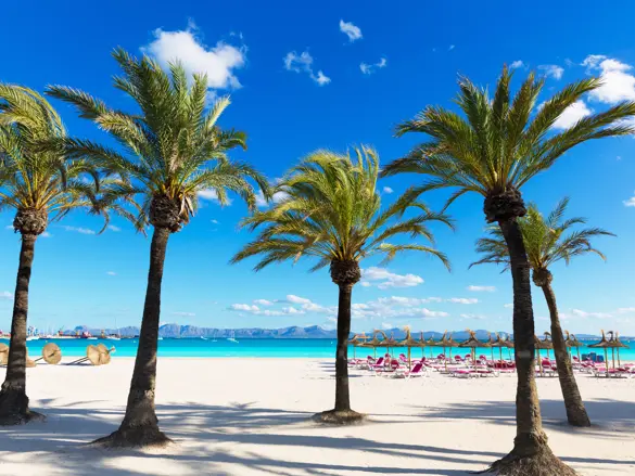 PMI Alcudia Gettyimages 498337892