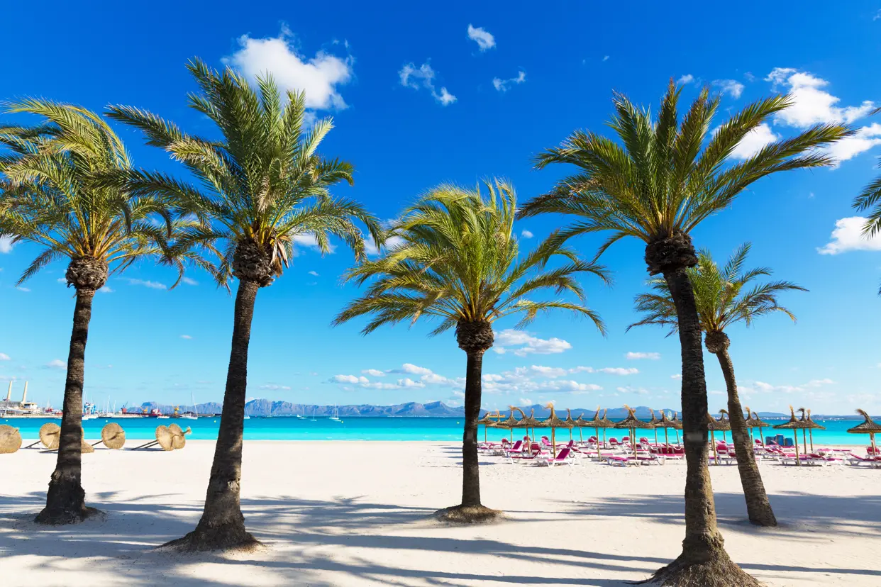 PMI Alcudia Gettyimages 498337892