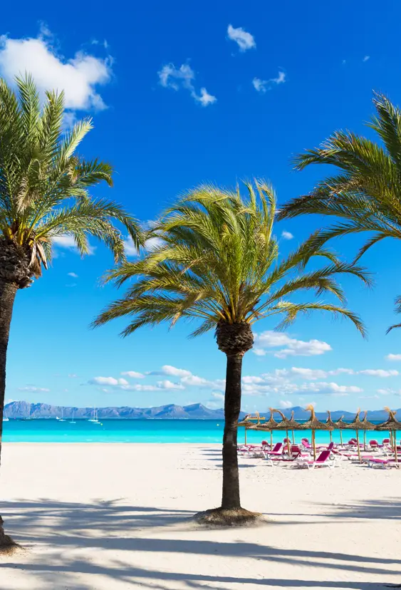 PMI Alcudia Gettyimages 498337892