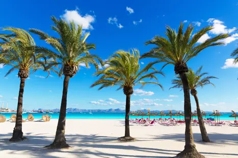 PMI Alcudia Gettyimages 498337892