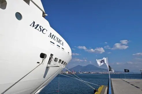 MSC13013842