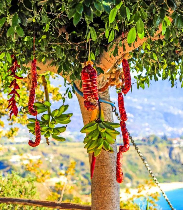 SUF Food 2